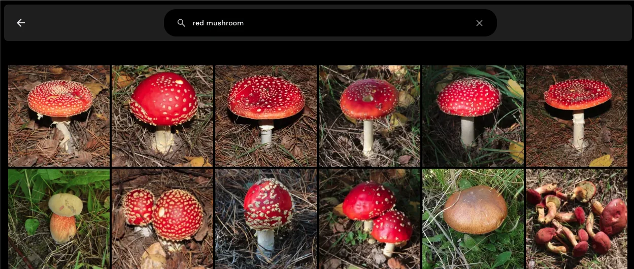Search Example 1