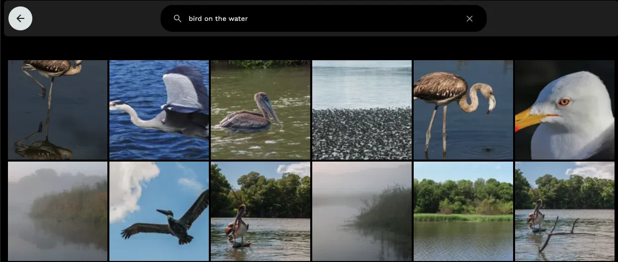 Search Example 2